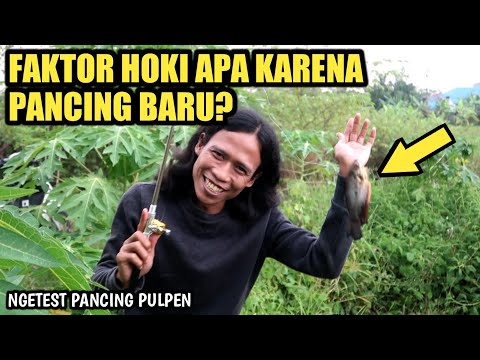 terkejut-seumur-hidup-baru-kali-ini-mancing-dapat-ikan-sepat-faktor-hoki-apa-karena-pancing-pena
