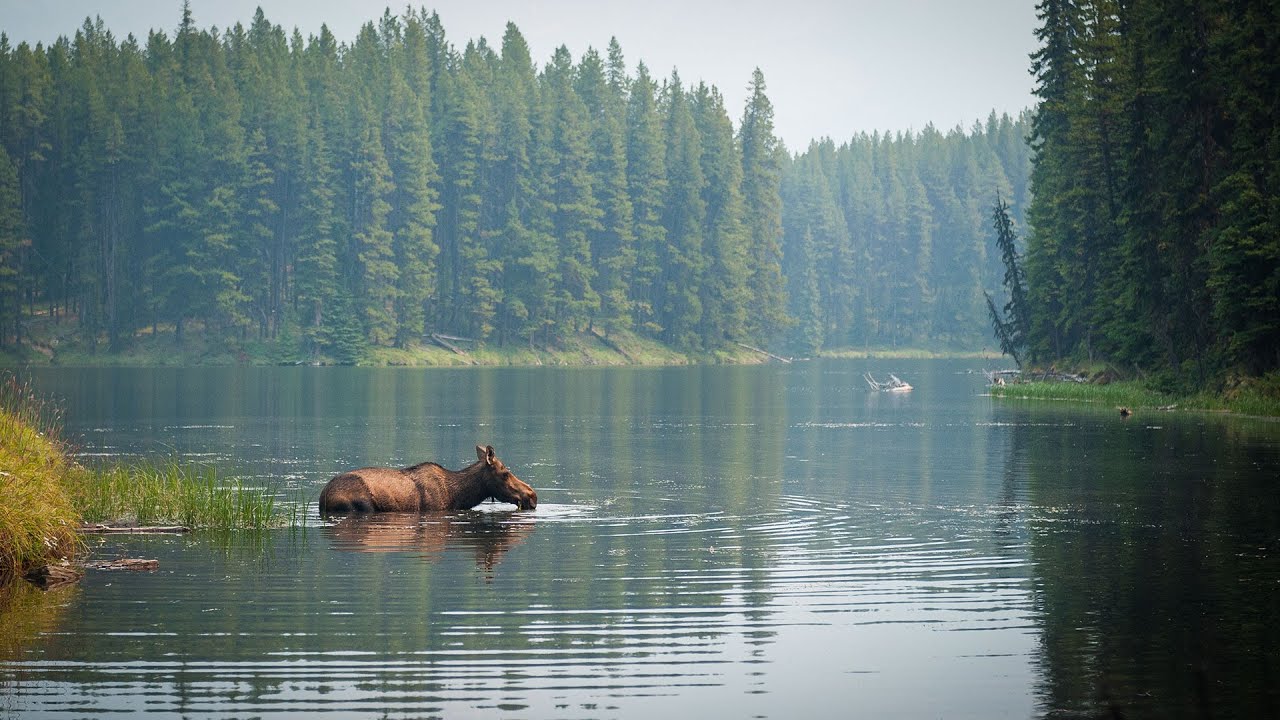 Supporting environmental sustainability