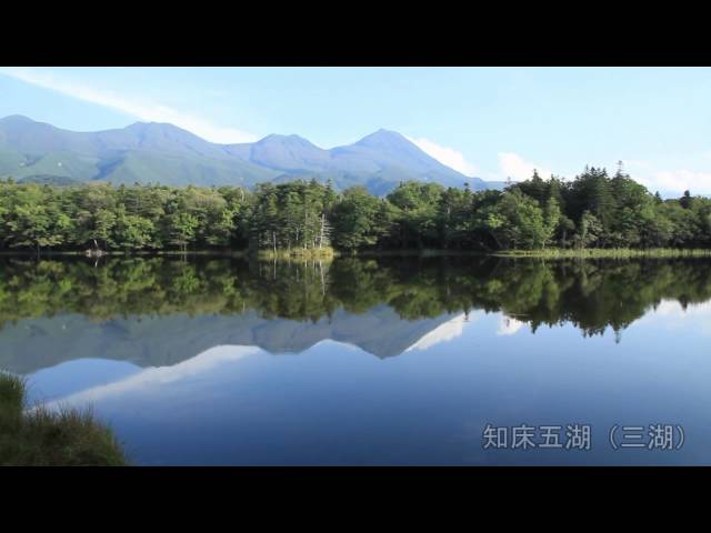 知床ネイチャーオフィス(Shiretoko Nature Office)