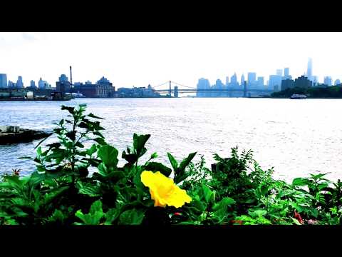 Beyond The Stage (con Stephanie Gayle)