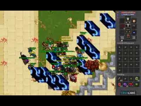 Fenek Mistrz 220 ek tibia saphira war 2012