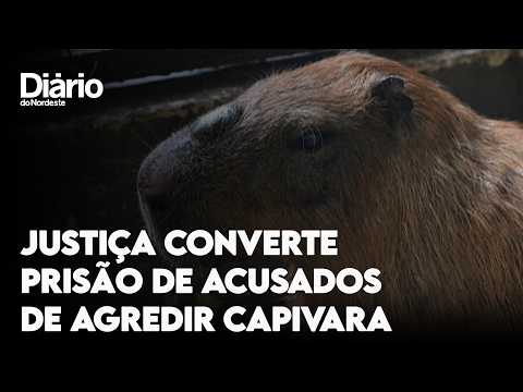 Justiça converte em preventiva prisão de acusados de agredir capivara no Rio 