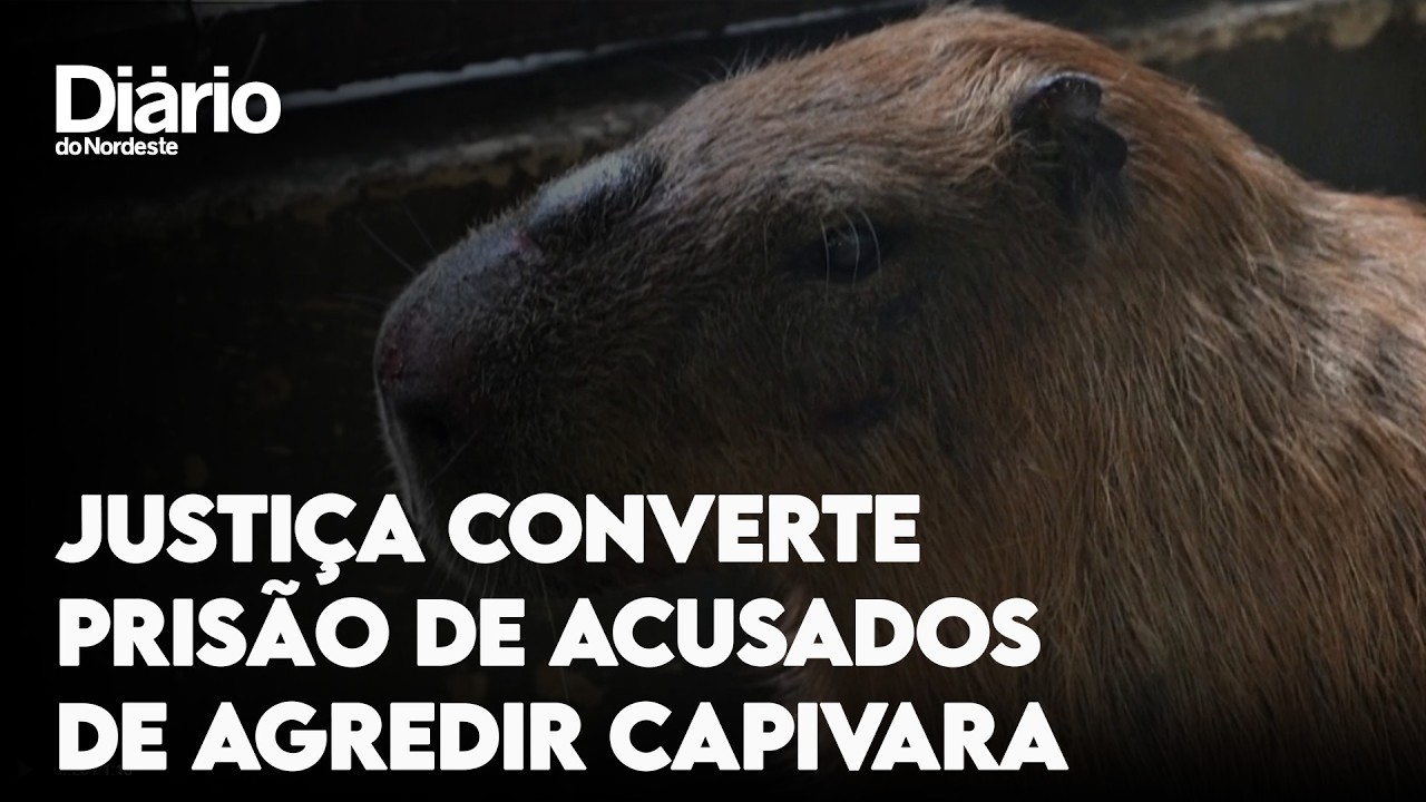 Imagem da notícia: Justiça converte em preventiva prisão de acusados de agredir capivara no Rio 