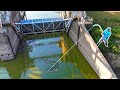 The HUNT For A 100LB CATFISH Biggest In YEARS