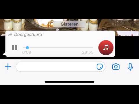 4OUR9INE & Wella Ladder - SAVAGE