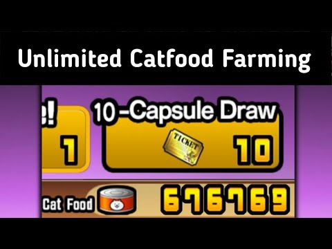 Things You Can't Do In Normal Version of Battle Cats