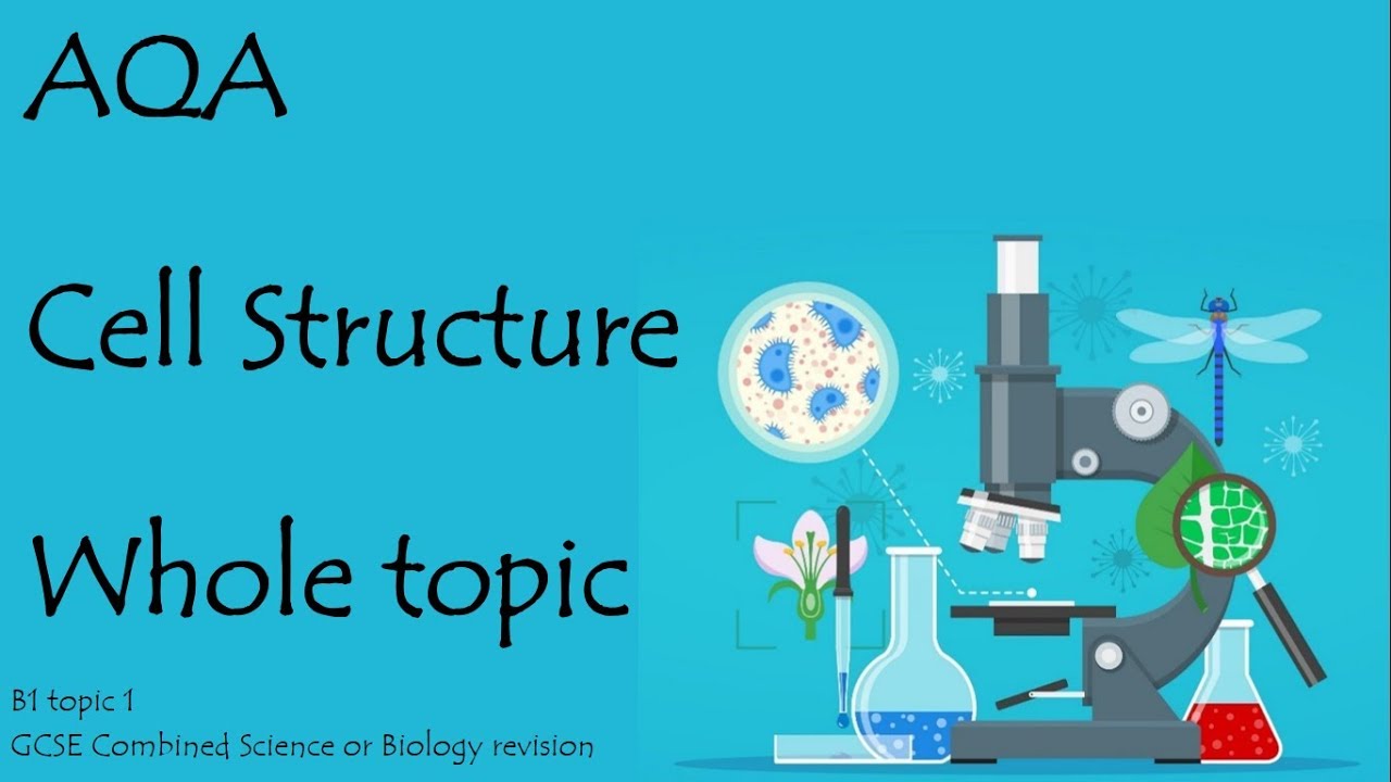 The whole of CELL STRUCTURE. AQA Biology or combined science 9-1 revision for paper 1