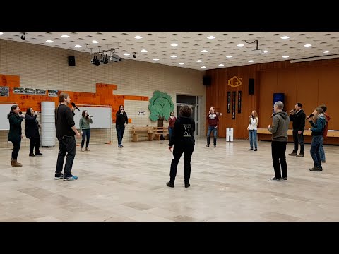 "Gott, steh mir bei" - ADEL TAWIL (a cappella-Cover von "das Xperiment")