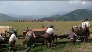 Steve Forbert  Born Too Late