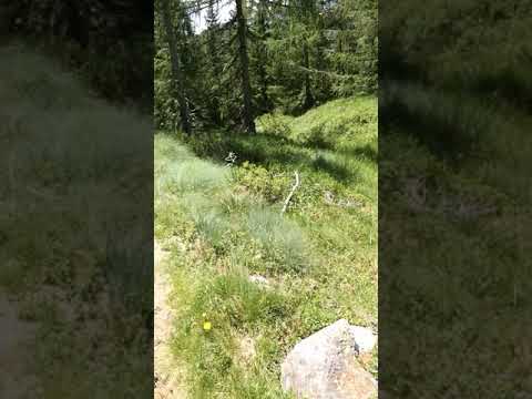 San Martino di Castrozza SENZA FOLLA DOMENICALE