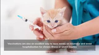Benefits of Vaccinating Your Pets