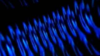 Horse - Celebrate (Fluke&#39;s Magimix)