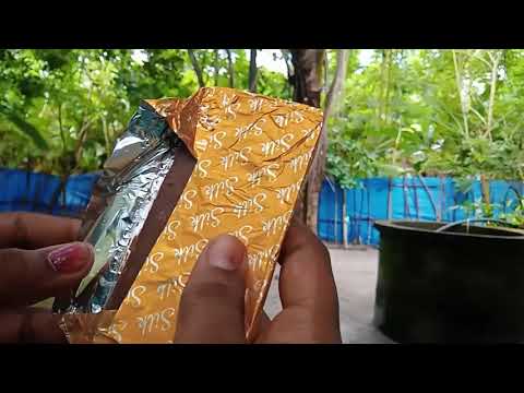 Dairy Milk silk fruits and nuts