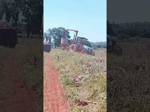 Santa Cruz de Monte Castelo Paraná É O Palco Do Momento