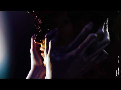 Signal & Disprove - Links