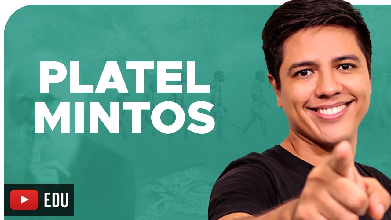 PLATELMINTOS - ZOOLOGIA - REINO ANIMALIA - Prof. Kennedy Ramos