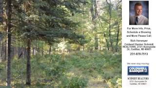 preview picture of video '00 E Stoney Corners Road, McBain, MI Presented by Rich Herweyer.'