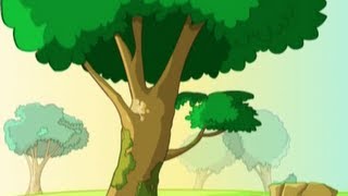 The Green Grass Grows all Around