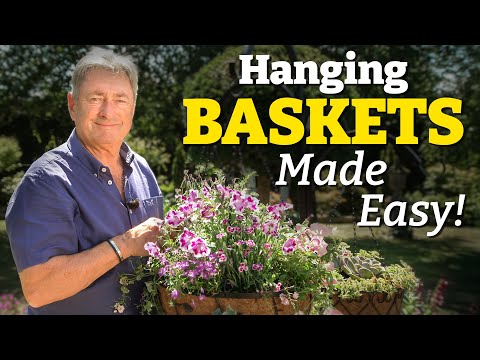 Aldi Hanging Baskets