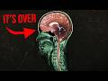 A man hiked in the woods. Every brain cell got cooked. DEFAULT Thumbnail