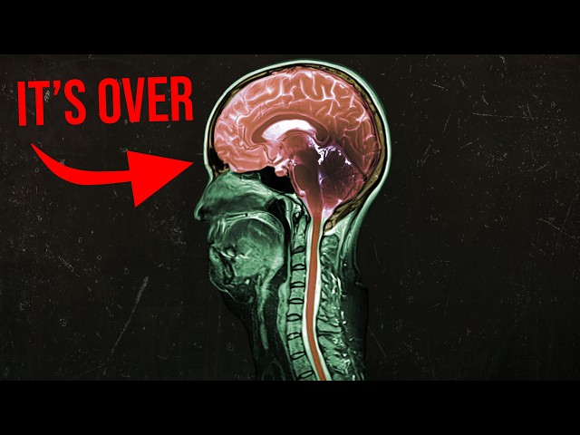 A man hiked in the woods. Every brain cell got cooked. SDDEFAULT Thumbnail