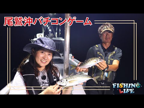 初心者でもわかる！デカアジバチコン