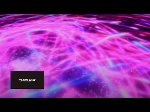 Lang Lang – Debussy: Children's Corner, L. 113: 1. Doctor Gradus ad Parnassum (teamLab Planets)