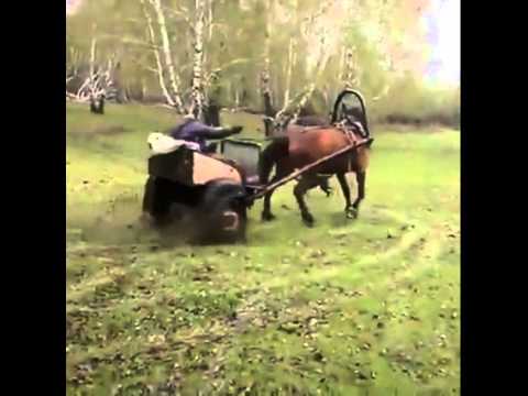Drift z pomocą konia