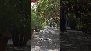 Why Garden Designers Obsess Over Chanticleer Garden #garden