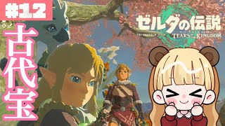 温泉を探せ!?チューリが見つけた文献の謎#12【ゼルダの伝説 ティアーズ オブ ザ キングダム】