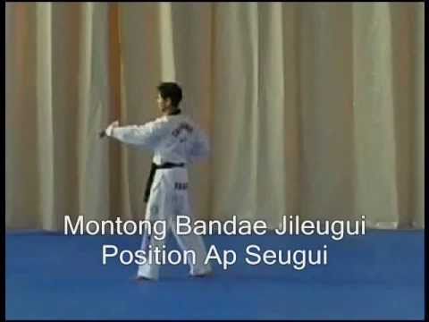 Taekwondo Poomsae Pdf