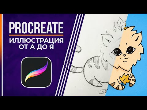 Procreate Начало Работы САМОЕ ВАЖНОЕ в Программе
