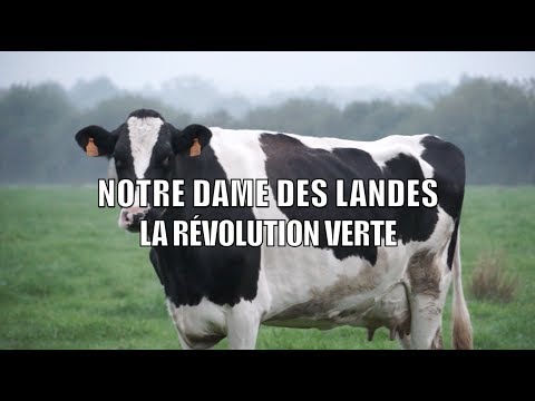Notre Dame des Landes : La Révolution Verte (Documentaire)
