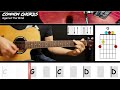 Against The Wind Bob Seger EASY GUITAR LESSON Scrolling Chords Lyrics