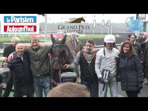 YARRAH BOKO garde son titre dans le Prix de Belgique. Retour en image et interviews - A2TURF.COM