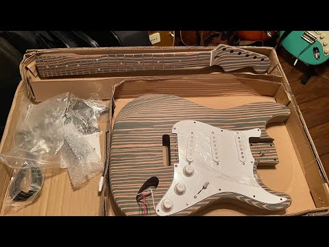 Bad Cat Zebrawood DIY Guitar Kit Unboxing/First Impression