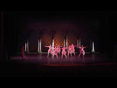 O Último Vôo - Espetáculo Aladdin