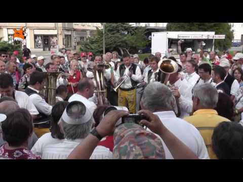 TUFARANKA - Sobèslav 2011