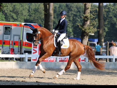 BOA VISTA & Greta Heemsoth - Finalqualifikation Bundeschampionate 2021
