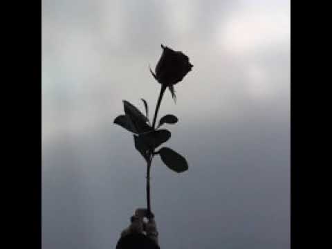 Sshvdow - Tell Me Lies feat ghostofblu prod.by caps ctrl (slowed + reverb)