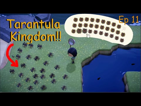 Tarantula Hunting!! Farming Tarantulas in Animal Crossing New Horizon!| Ep 11