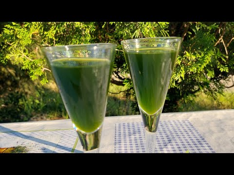 Nalewka z mięty (Mint tincture)