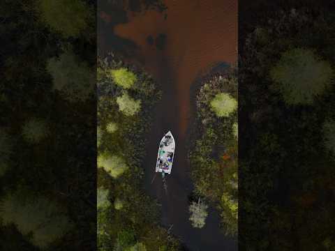 Pike fishing like you've never seen, only at Munroe Lake Lodge and the untouched waters surrounding