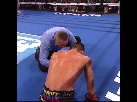 Vasiliy Lomachenko stopping Jorge Linares