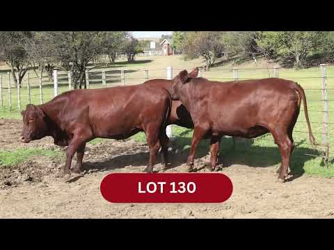 LOT 130