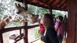I will take a giraffe over a man any day!!