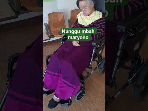 nunggu mbah maryono 📌 #shorts