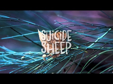 Hiatus - Precious Little