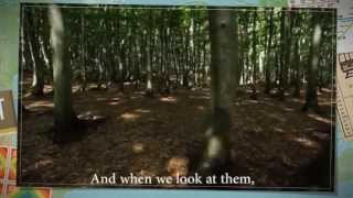 What are the most important factors for a woman in choosing a husband? If she rejects a righteous man for some worldly rea...