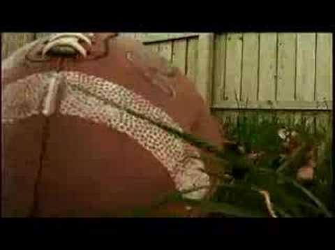 Gagliardi Coaching And Life Style